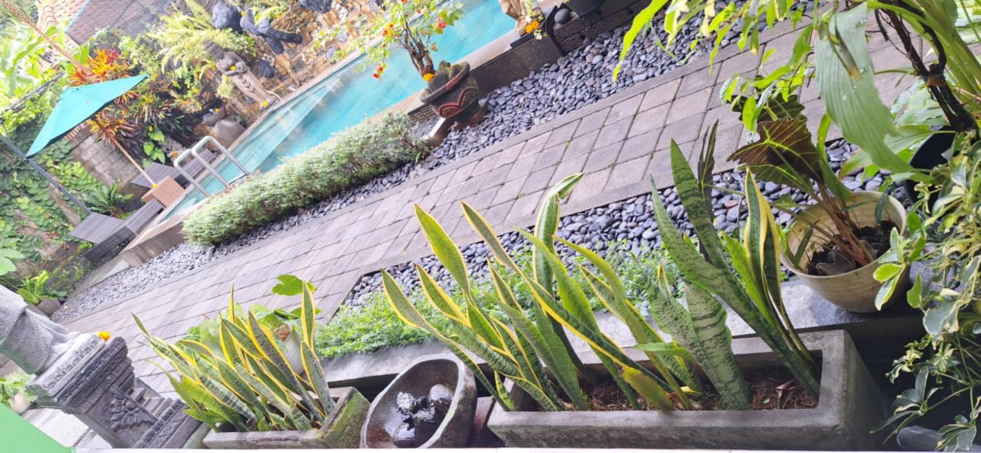 Sari Mimpi Kutuh Villa ウブド エクステリア 写真