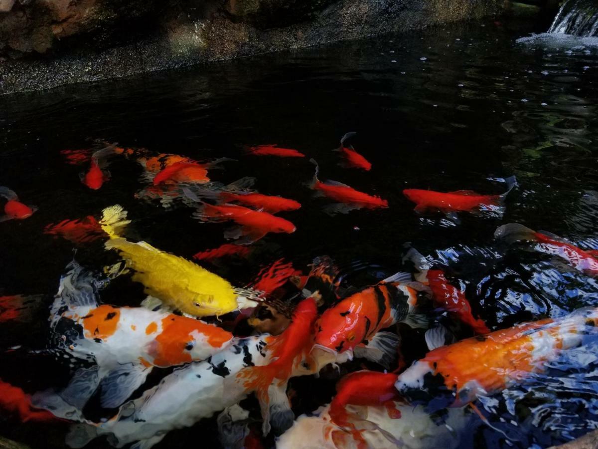 Sari Mimpi Kutuh Villa ウブド エクステリア 写真